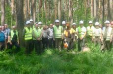Uczestnicy szkolenia poświęconego bhp podczas pozyskiwania drewna.